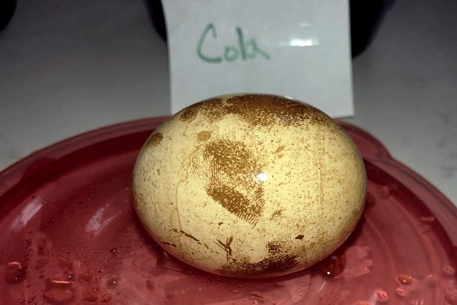 An eggshell is stained with brown spots after soaking in cola/soda overnight.